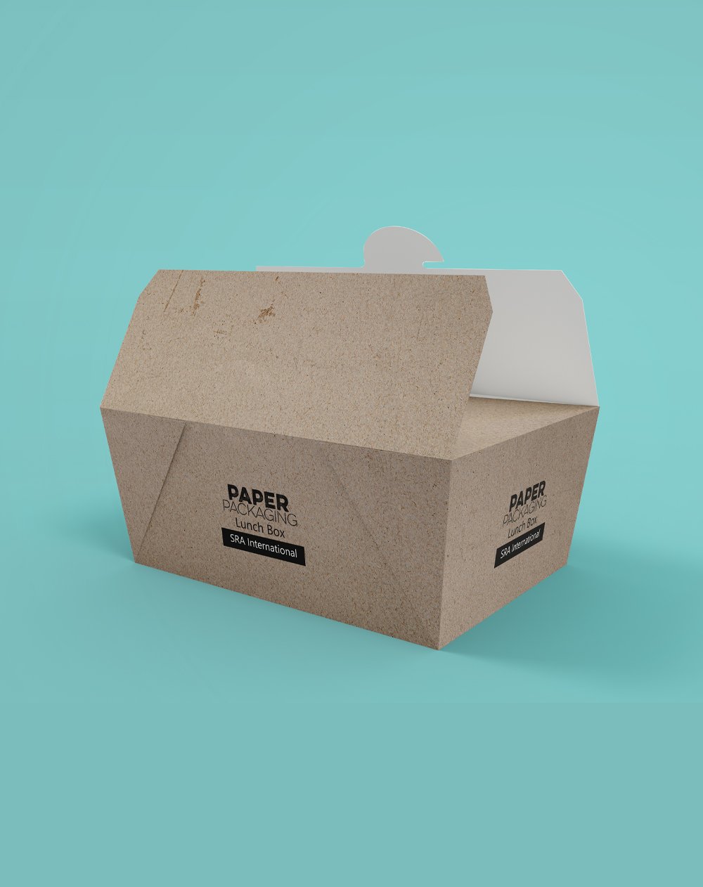 Paper Lunch Box | SRA International